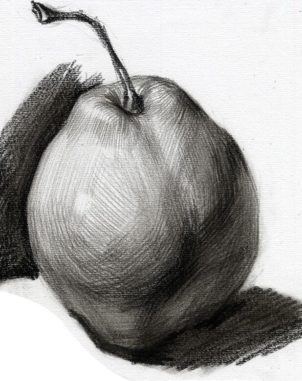 素描梨子照片图片