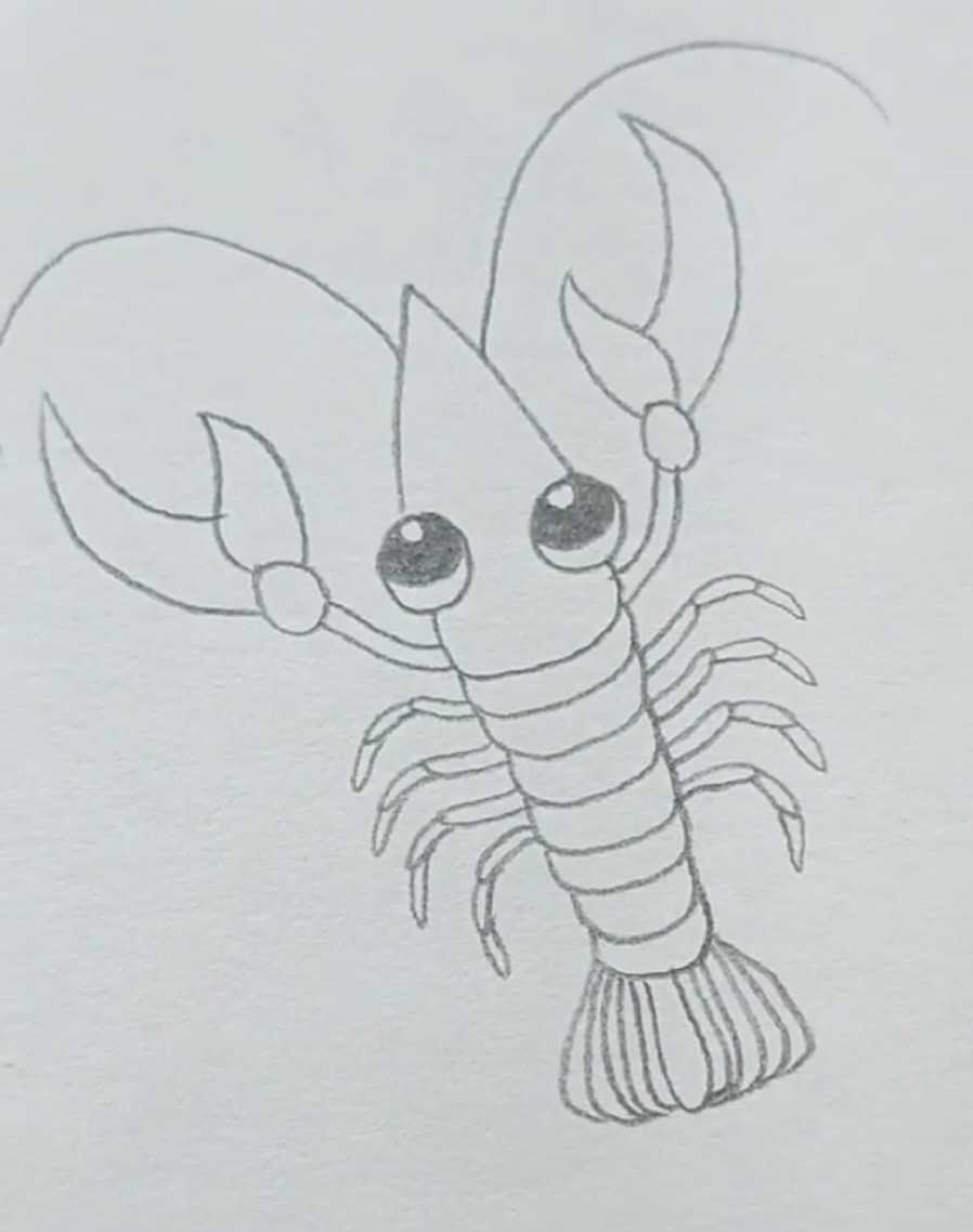 大龙虾的画法图片