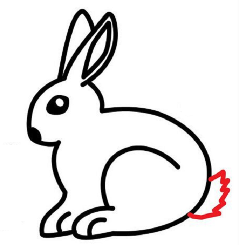 幼儿简笔画小白兔图片