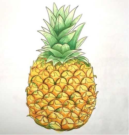 安慕希菠萝酸奶简笔画图片