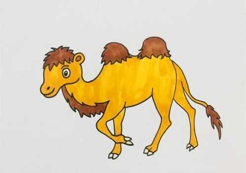 骆驼简笔画 涂色图片
