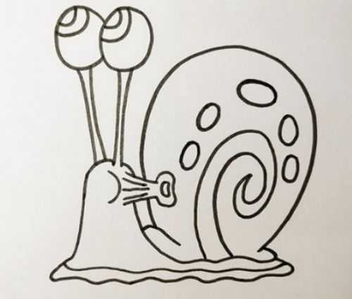 蜗牛壳怎么画简笔画图片